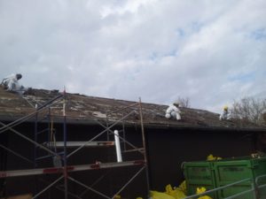 Hamilton Canada asbestos roof removal