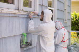 Lead paint removal