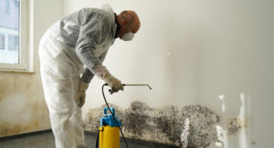 Mould removal