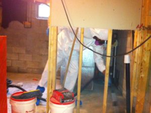 Southern Ontario mould removal
