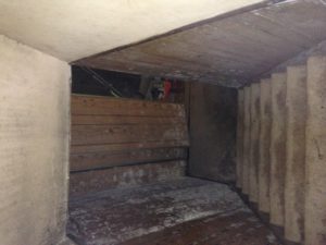 southern Ontario mould removal