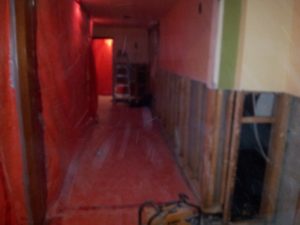 Toronto professional mould removal