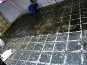 Type 1 Floor Tile Removal Set up and Final Removal